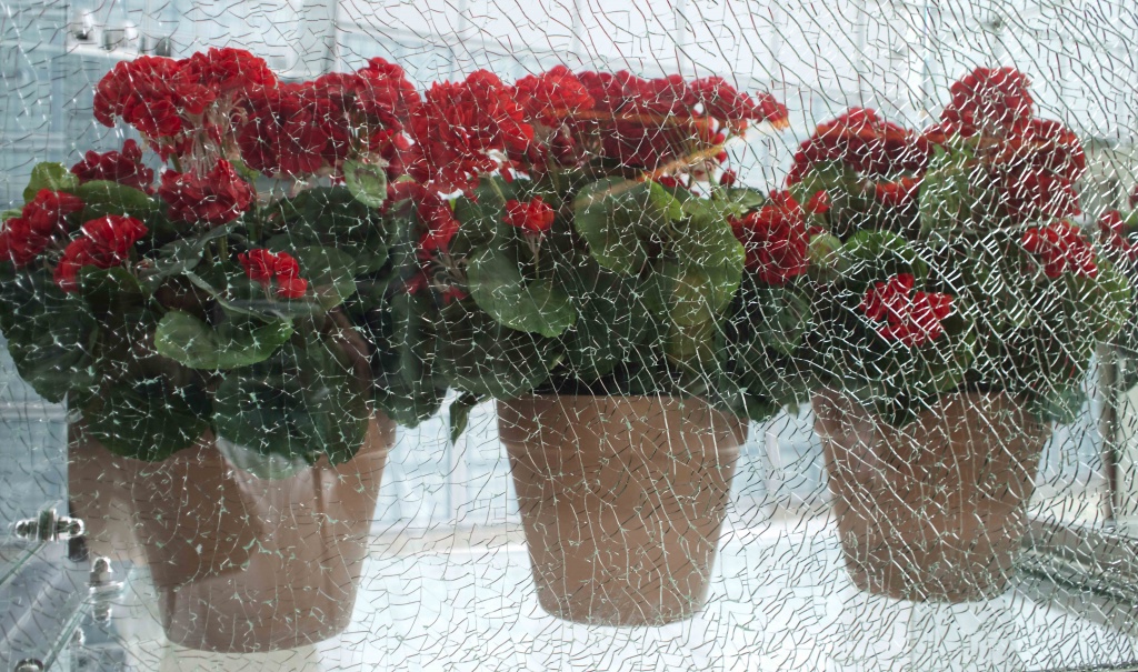 Закаленное стекло картинка