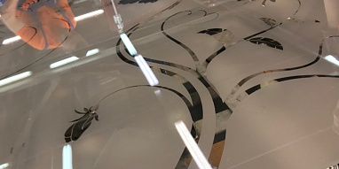 Пескоструйная обработка стекла