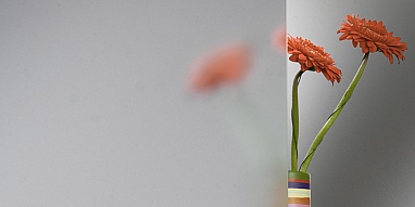 Мателюкс (сатин) 4-8 мм